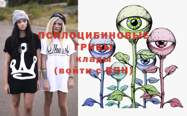 молекула духа Алексеевка