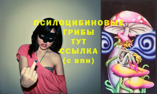 молекула духа Алексеевка