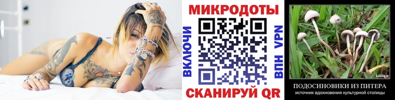 Псилоцибиновые грибы прущие грибы  Красково 