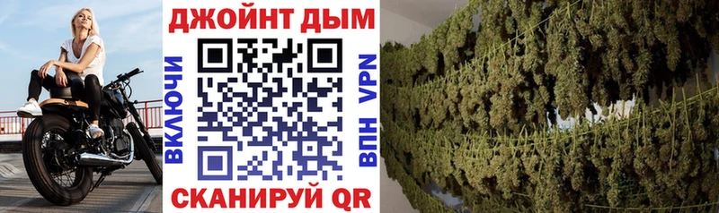 где можно купить наркотик  блэк спрут как зайти  Бошки Шишки сатива  Красково 
